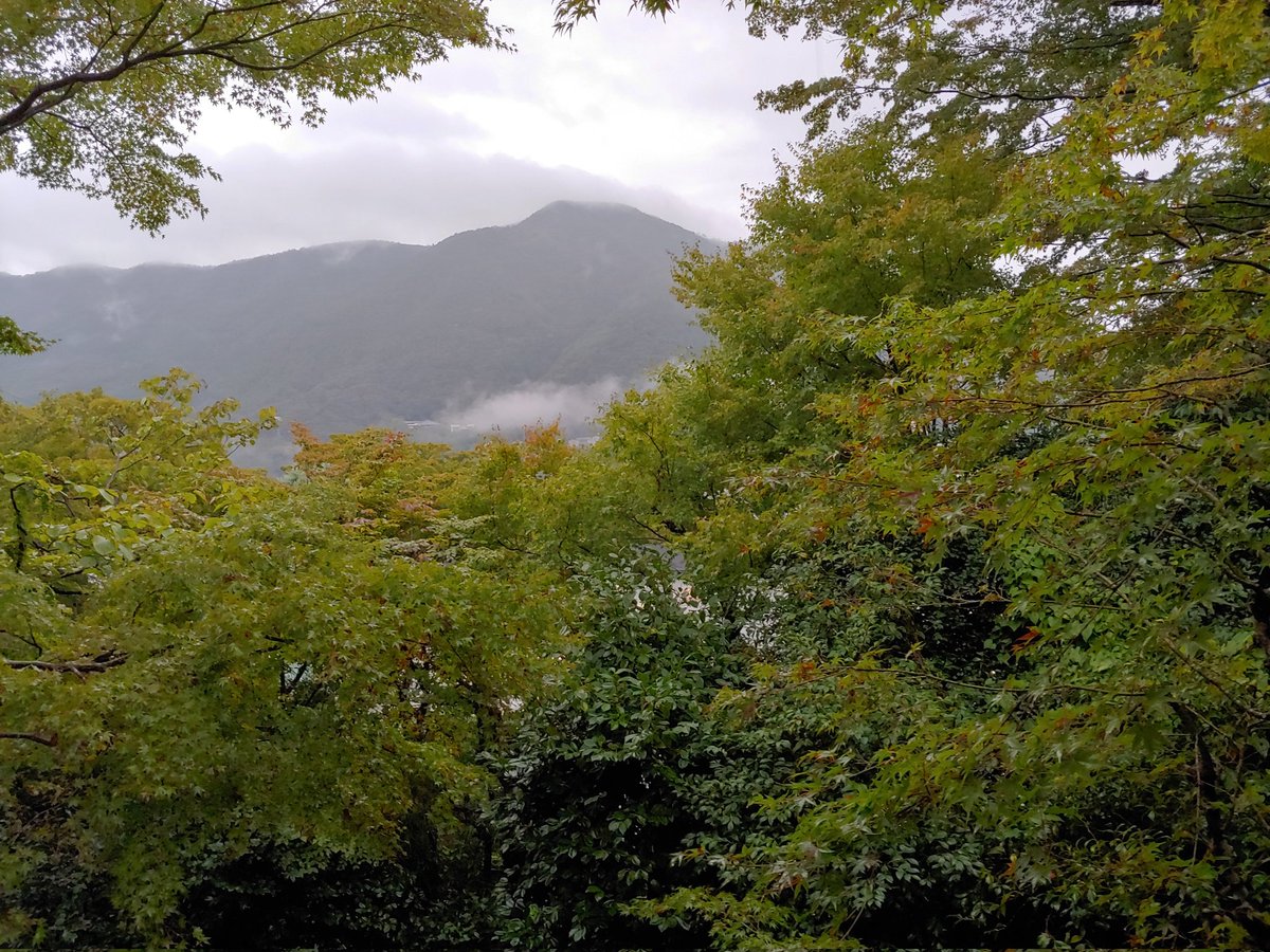 JoanDWinston1's tweet photo. Beautiful Hakuun-do moment in #Gora in the rain. #GoraPark #hakuundo #matcha #tea #Japan #Hakone https://t.co/Nfw5y5HLSk