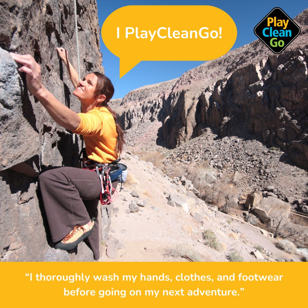 InvSp's tweet photo. It's Play. Clean. Go. Awareness Week! Keep the adventure, stop invasive species in your tracks 🥾🌿🐶 | Learn more about the steps you can take: https://t.co/FV2jPscfkT  #PlayCleanGo #PlayCleanGoWeek https://t.co/Fz3vlO7pVP