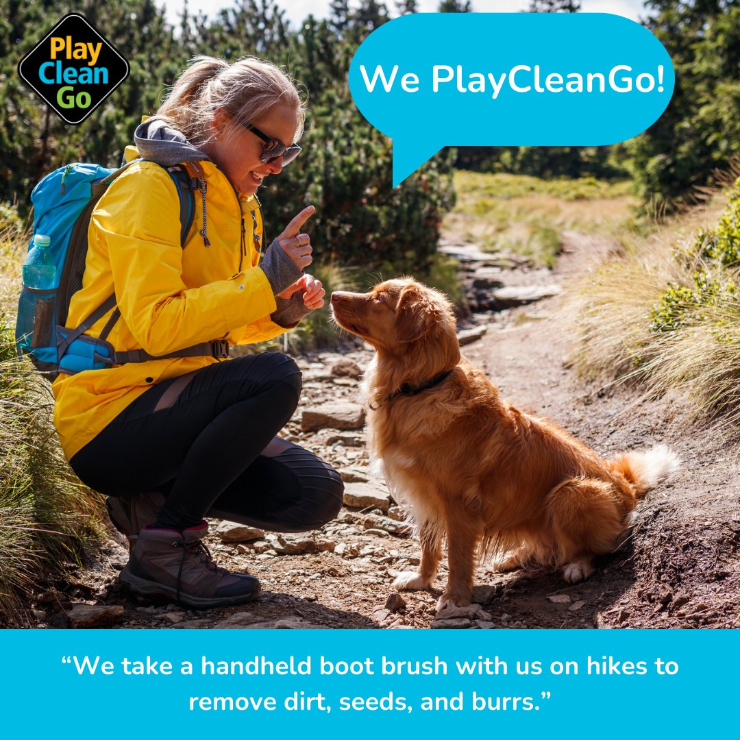 InvSp's tweet photo. It's Play. Clean. Go. Awareness Week! Keep the adventure, stop invasive species in your tracks 🥾🌿🐶 | Learn more about the steps you can take: https://t.co/FV2jPscfkT  #PlayCleanGo #PlayCleanGoWeek https://t.co/Fz3vlO7pVP