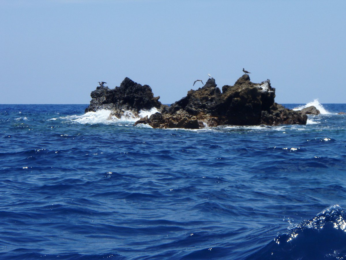 InturRACCS's tweet photo. Corn Island 📍

Blowing Rock es una formación rocosa de origen volcánico que se extiende desde el fondo del mar y sobresale en la superficie del agua. Considerado uno de los mejores sitios para el buceo. 🦈 🌊 🐋

📷 Créditos al autor

#RACCS 
#NicaraguaÚnicaOriginal https://t.co/WlCJhUFyRn