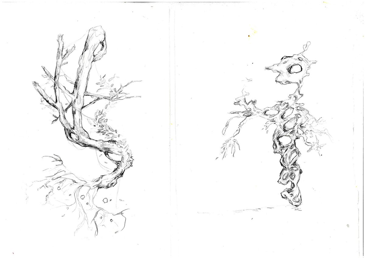 wisteria tweet media