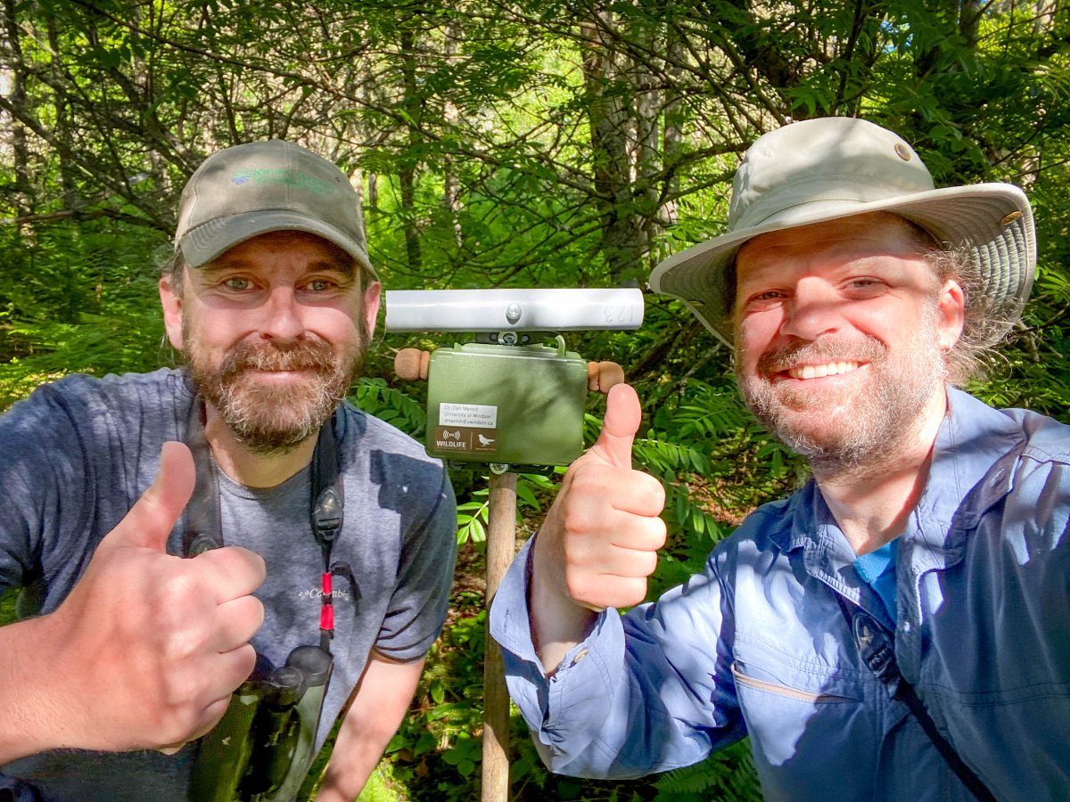 Dan Mennill tweet media