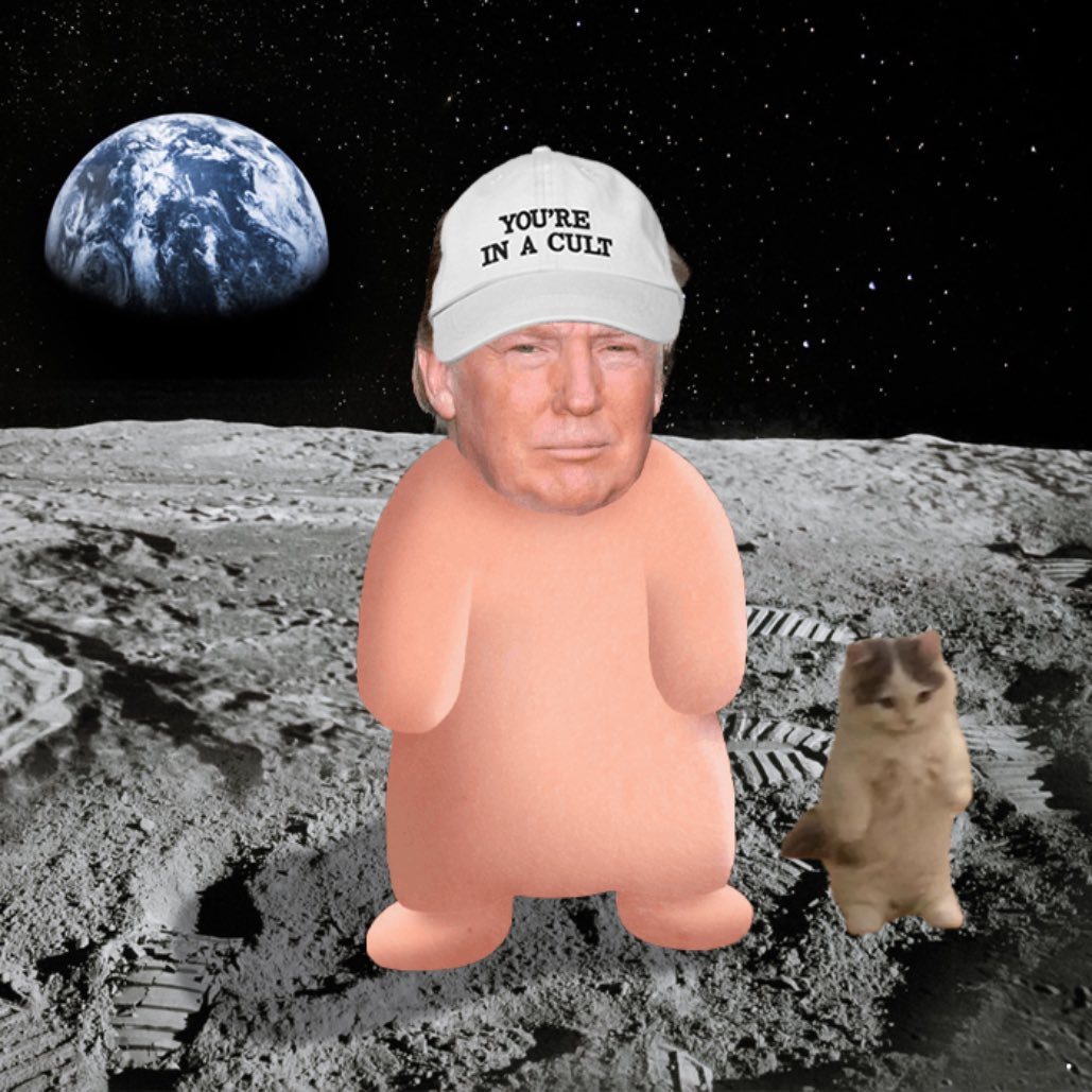 mferghost's tweet photo. @8ee0ne @greg16676935420 @trumpiesol https://t.co/LHX2cFYPav