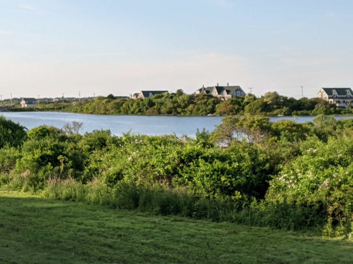 NaturePage tweet picture