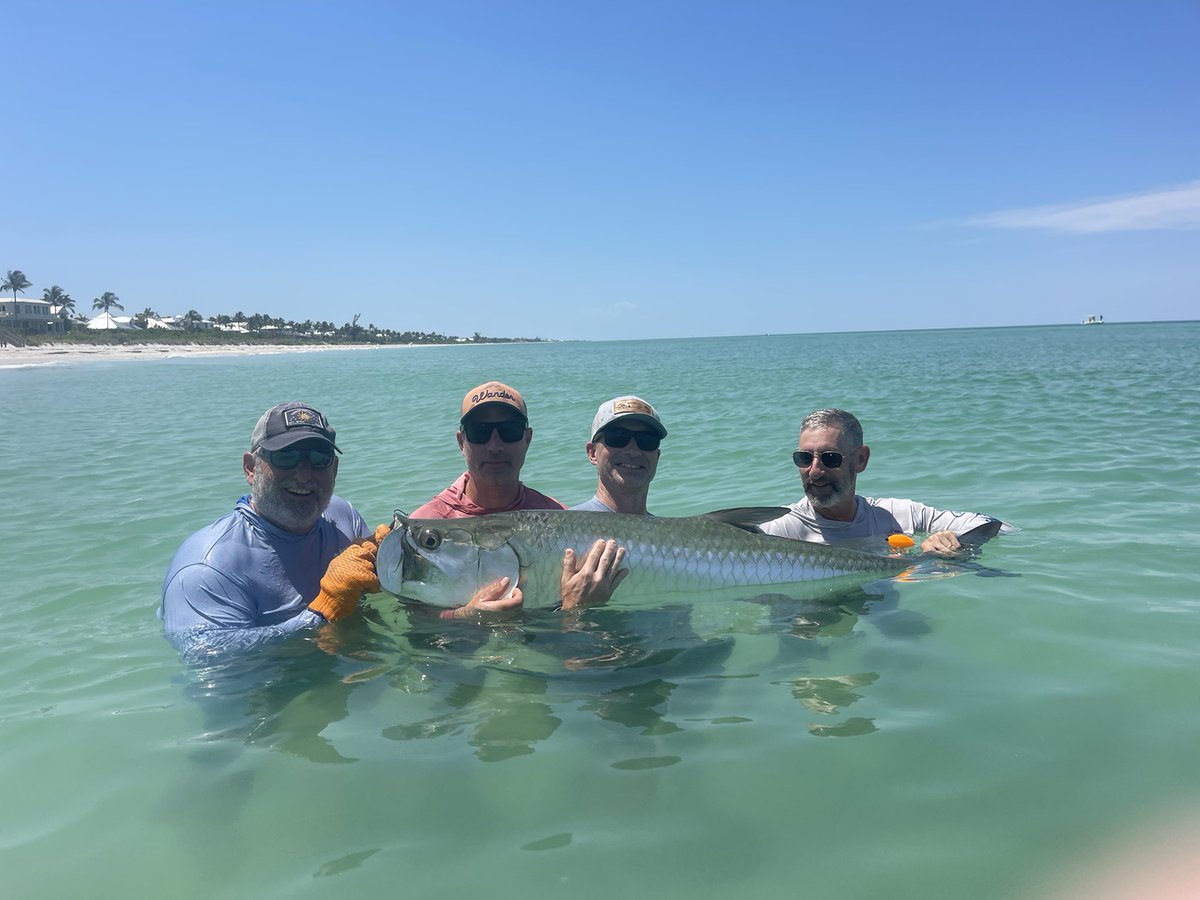 CaptMattErcoli's tweet photo. Tarpon fishing is about as good as it gets right now.  
#tarpon #tarponfishing #fishing https://t.co/S7virnJqNp