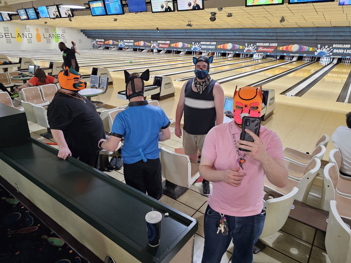 Pup_Tizzy's tweet photo. Puppy bowling, chasing balls, and kno king things around.  Can we please just get some kibble?? 💜💚 https://t.co/lEbQMwQEjv