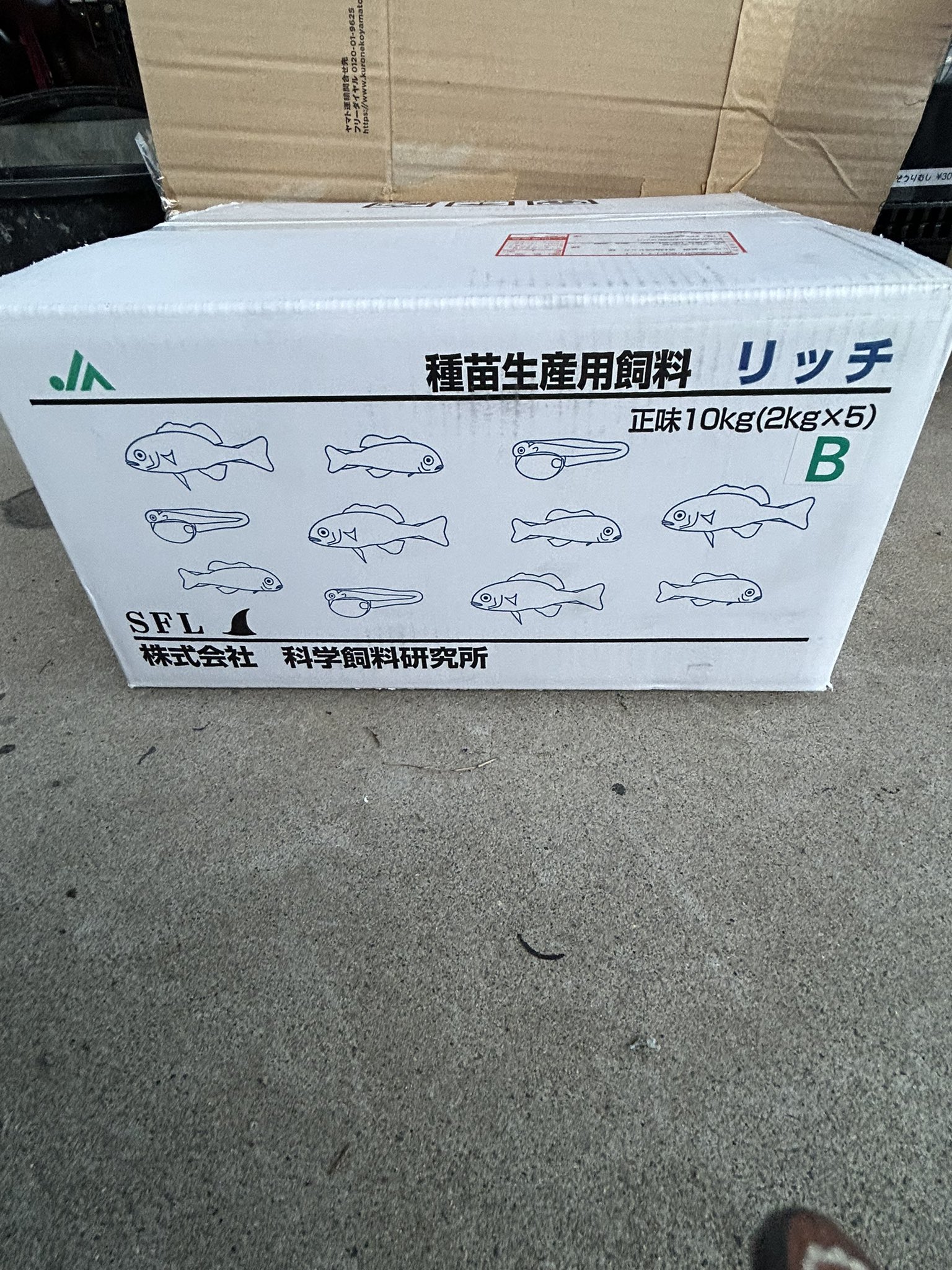 科学飼料研究所 リッチA 2kg リッチB 2kg メダカ エサ