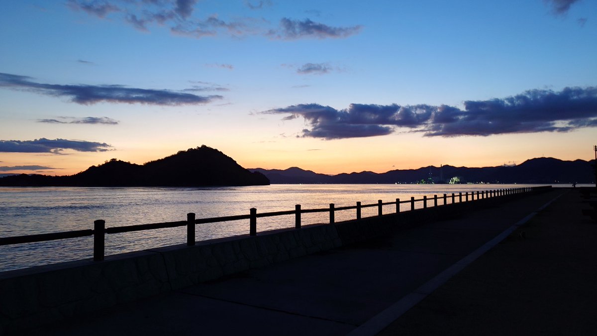 SHOGO_No1's tweet photo. 昨日から
休暇村大久野島で宿泊
ウサギさんいっぱい🐇
今日はとてもいい天気です☀
#大久野島 https://t.co/koYGtJh21d