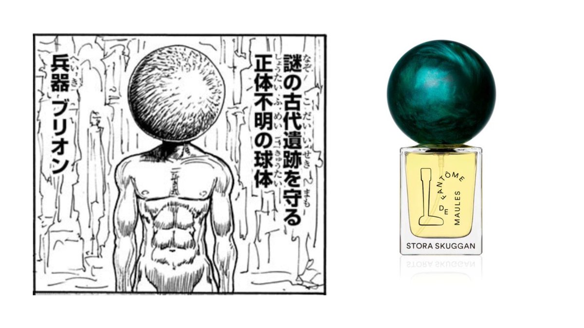 👈ハンターハンター33巻(341話) 暗黒大陸編の「兵器ブリオン」 ストラ