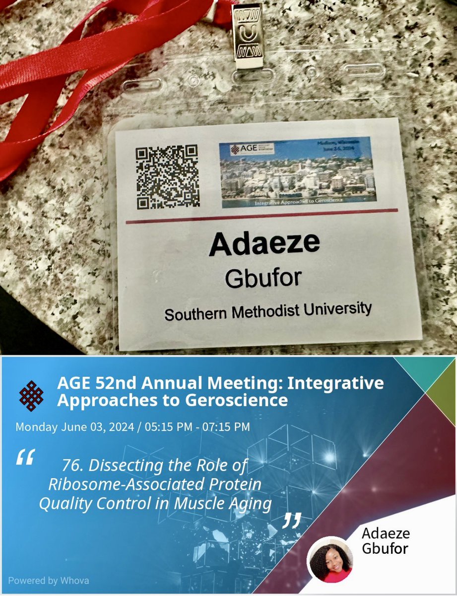 Adaeze Gbufor (@adaezegbufor) on Twitter photo I had a fantastic time sharing my research at #AGE2024! It was my first time attending the AGE conference and my first visit to Wisconsin. Cutting-edge research in aging, intriguing questions, amazing people and lots of good food. Thank you <a href="/americanaging/">American Aging Association</a> #AGEDiversity #AGETC I had a fantastic time sharing my research at #AGE2024! It was my first time attending the AGE conference and my first visit to Wisconsin. Cutting-edge research in aging, intriguing questions, amazing people and lots of good food. Thank you <a href="/americanaging/">American Aging Association</a> #AGEDiversity #AGETC