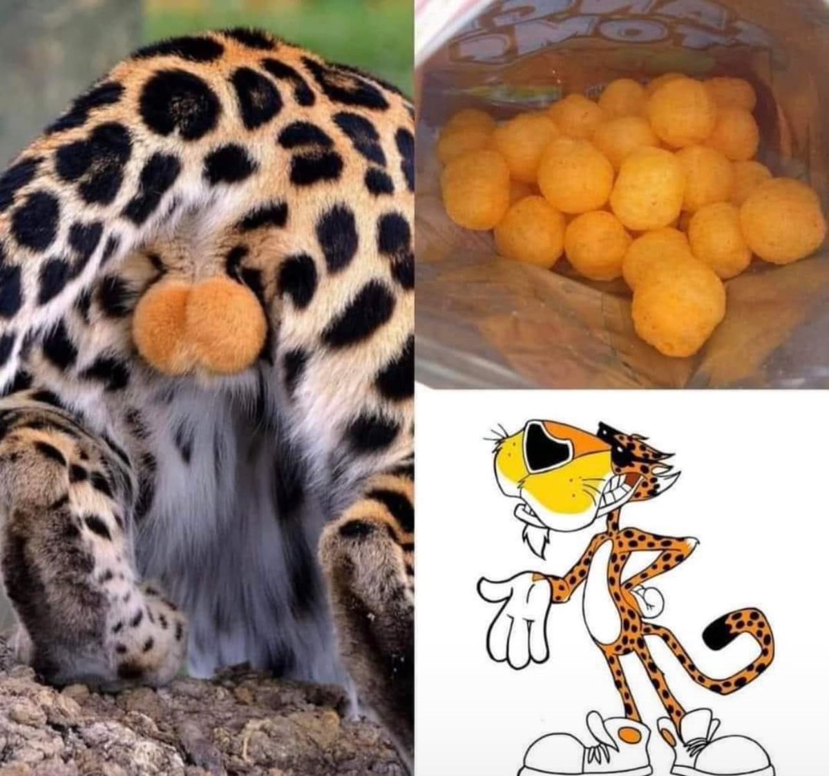 Dios_0ficial's tweet image. Ahora ya sabes por qué son así los Cheetos de bolita.