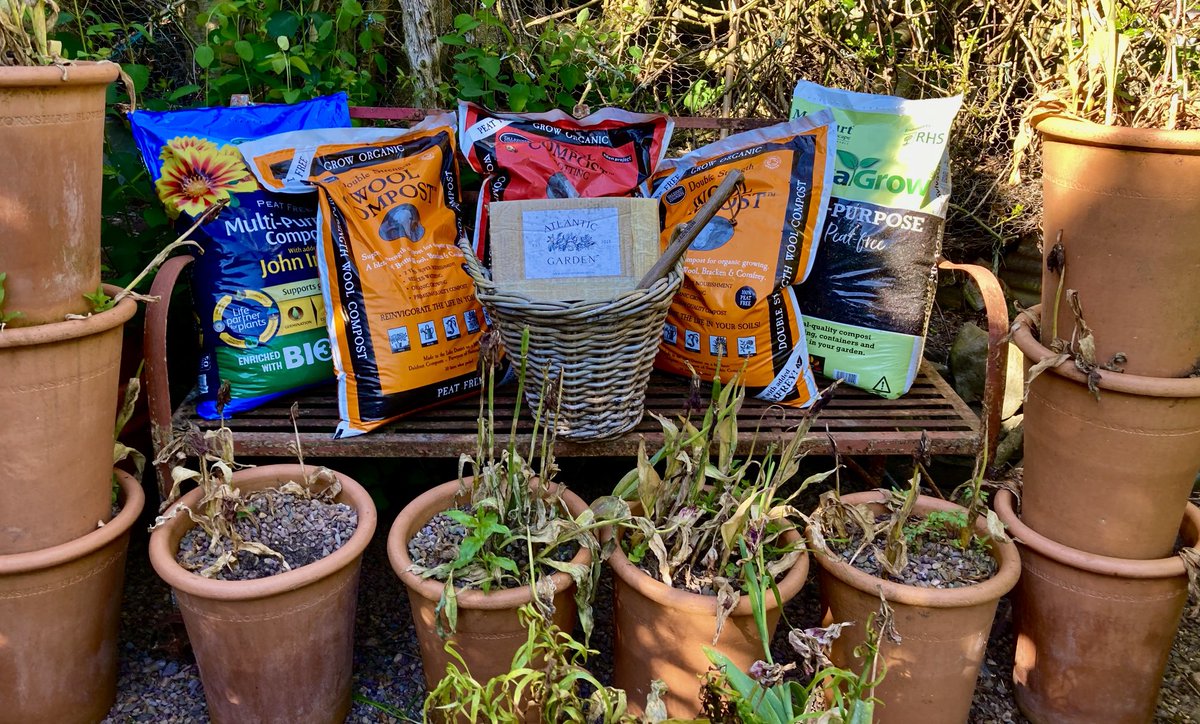 Berwickshire1st's tweet photo. So the candidates for #compostchallenge are on the casting couch
Over a dozen due to be tested with identical #dahlias in identical pots
Really keen to see if adding new nutrition to old compost works so @atlanticgarden0 @DalefootCompost do your stuff! https://t.co/kVplsxuaVk