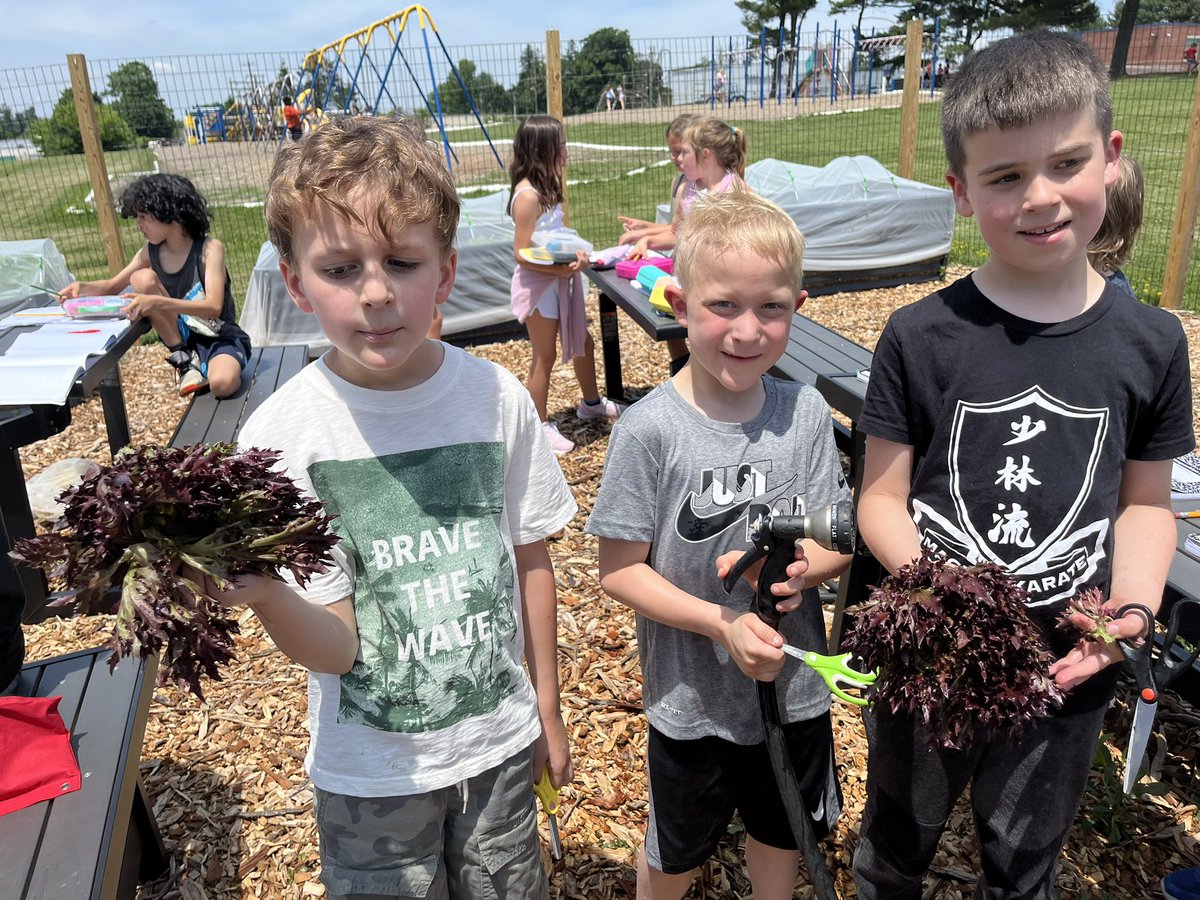 MrsMizesClass's tweet image. Today was harvest day! 2nd graders did a great job harvesting the veggies they planted and tended to over the last 4 months! The veggies are big and beautiful and we can’t WAIT to taste them tomorrow!! 🥬 🥕 🫛 💚