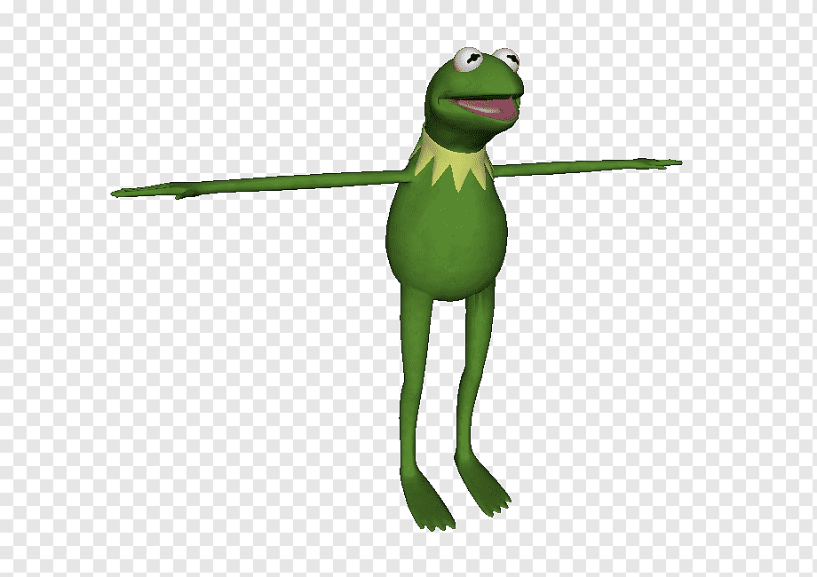Kermit tweet media