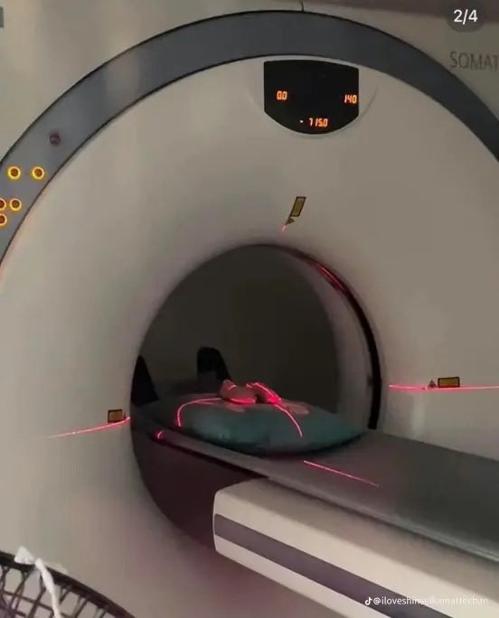 usedwifi's tweet image. can’t stop thinking of how hamsters get an mri done