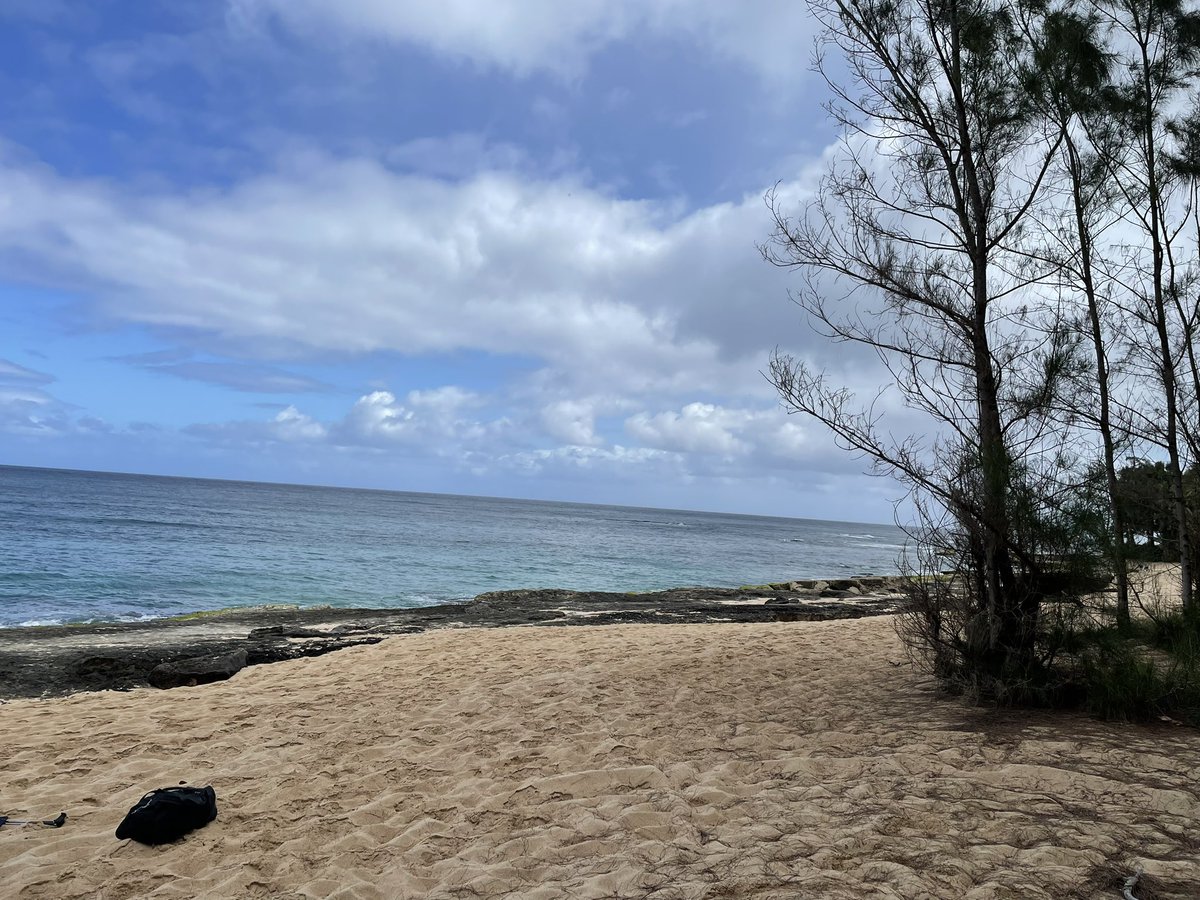 Iilithsternin's tweet photo. The LOST camp site beach (Police Beach) is maybe my most favorite place that I have ever been to. Like, HISTORY took place there. https://t.co/DrvcM8UwBh