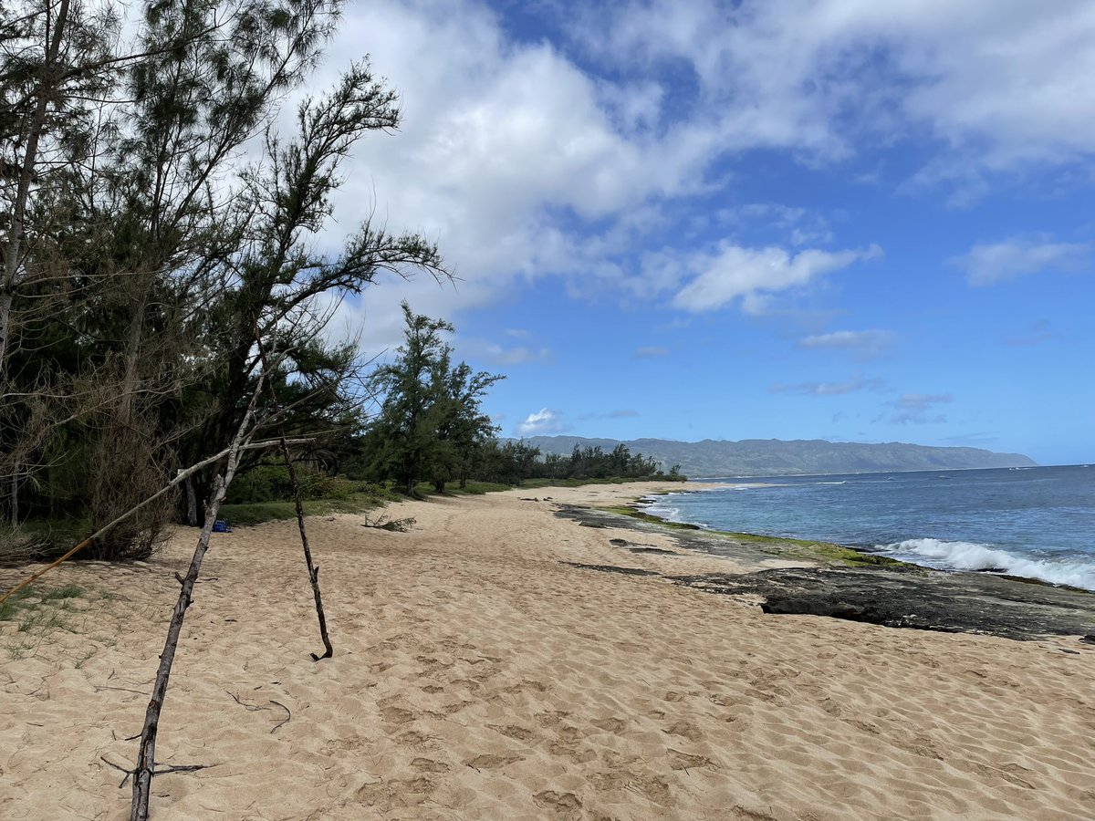 Iilithsternin's tweet photo. The LOST camp site beach (Police Beach) is maybe my most favorite place that I have ever been to. Like, HISTORY took place there. https://t.co/DrvcM8UwBh