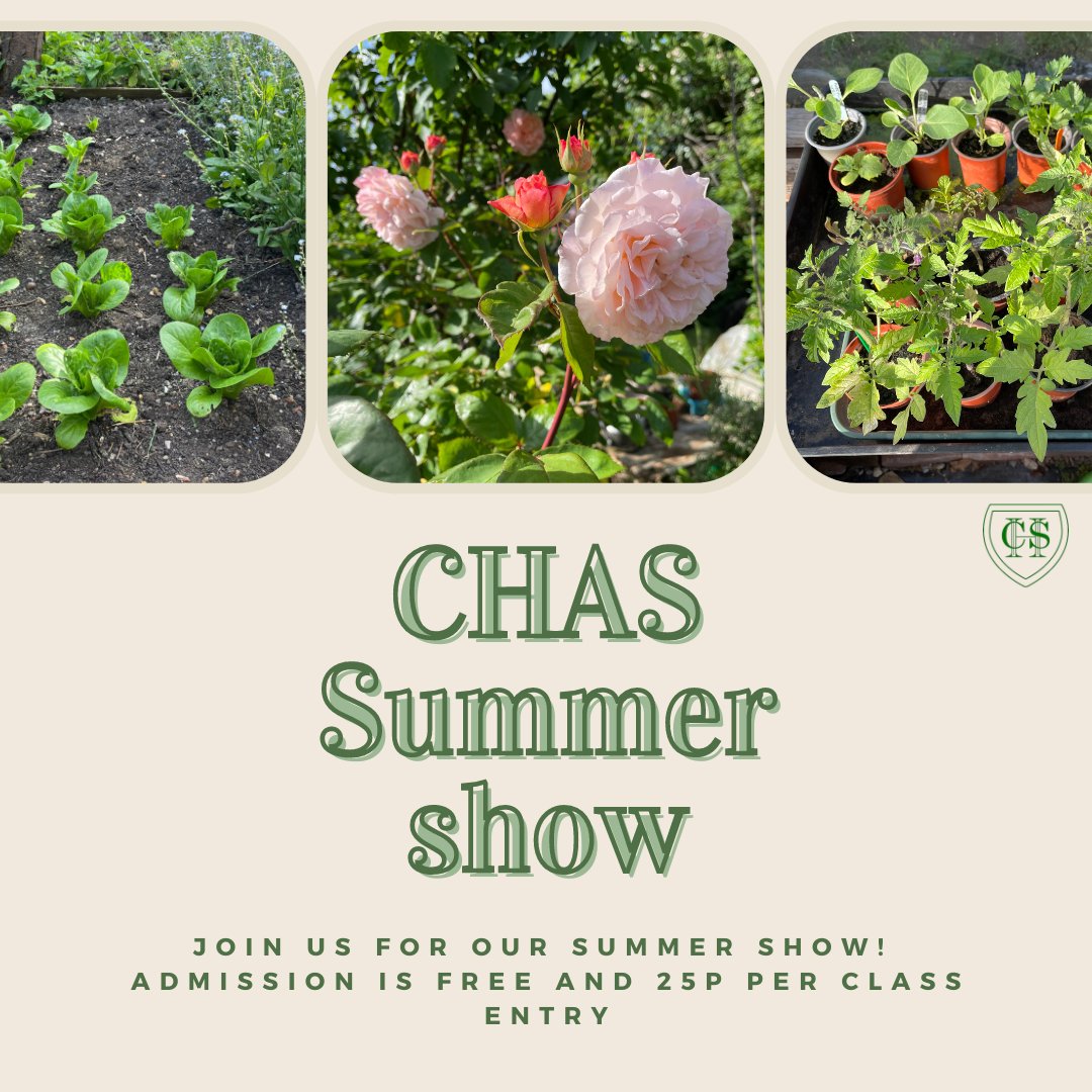 🎉🌞 Get ready for the ultimate summer event! The CHAS Summer Show is happening on Sunday, 30th June 2024 and you don’t want to miss it! Admission is FREE and it’s just 25p per class entry.

📍 Venue: The Allotments, Staveley Rd, Chiswick, London W4 2SJ 

See you there! 👏🎊