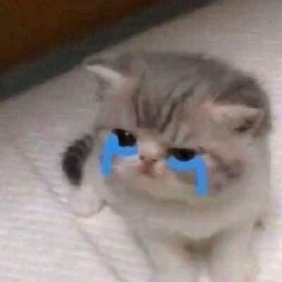 Я: та я не буду плакати на концерті
Чуприненко: грає першу пісню
Я: