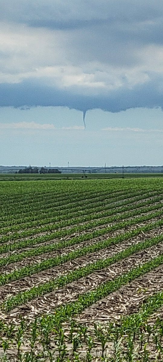 dvorakfarms's tweet photo. @NWSNorthPlatte south of cozad today https://t.co/soleZh7QNp