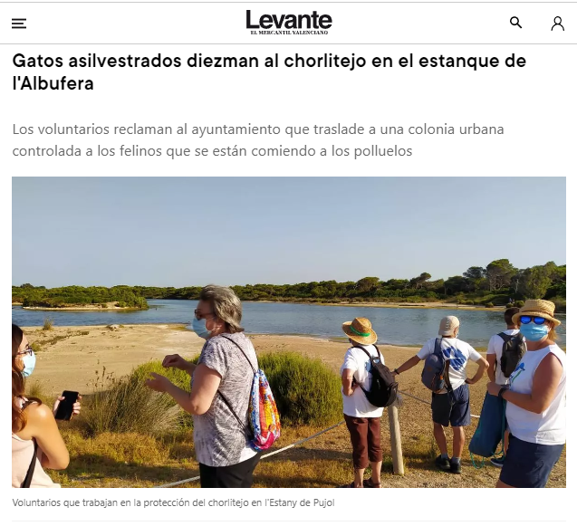 Gatos comiéndose los pocos pollos de Chorlitejo patinegro que nacen.
Las medidas de conservación no valen para nada si no se reubican las colonias felinas fuera de los lugares sensibles, como esta de L'Albufera. <a href="/SEO_BirdLife/">SEO/BirdLife</a> y <a href="/AEAgro/">AccióEcologista Agró</a> en <a href="/levante_emv/">Levante-EMV</a> levante-emv.com/valencia/2024/…