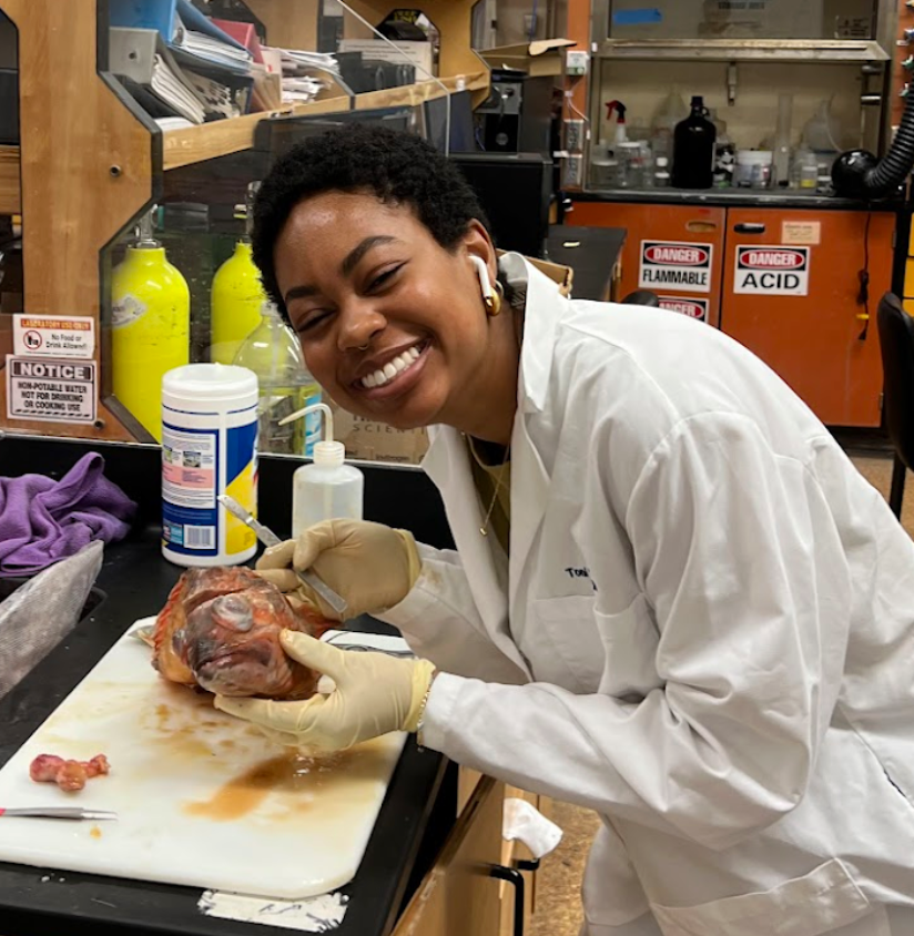 Scripps Institution of Oceanography (@scripps_ocean) on Twitter photo 🌊Meet Toni Sleugh (<a href="/SleughOfScience/">Toni Sleugh, M.S. (she/her)</a>), a Scripps Oceanography PhD candidate who studies marine biology in <a href="/TheSemmensLab/">The Semmens Lab</a>! She uses fish to investigate how historical offshore disposal of chemical waste impacts modern fisheries and the people who depend on them. 🌊Meet Toni Sleugh (<a href="/SleughOfScience/">Toni Sleugh, M.S. (she/her)</a>), a Scripps Oceanography PhD candidate who studies marine biology in <a href="/TheSemmensLab/">The Semmens Lab</a>! She uses fish to investigate how historical offshore disposal of chemical waste impacts modern fisheries and the people who depend on them.