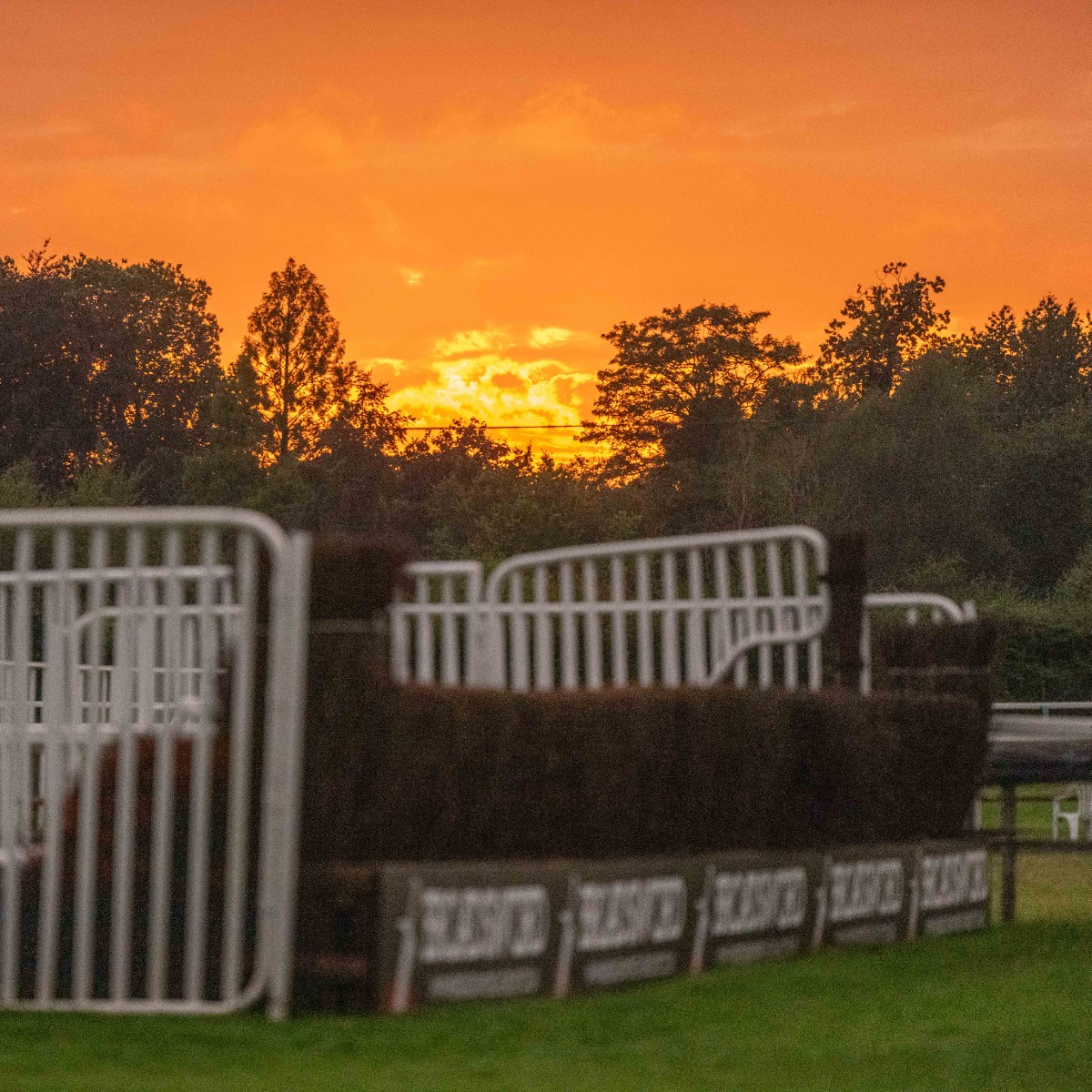 Fontwell Park tweet media