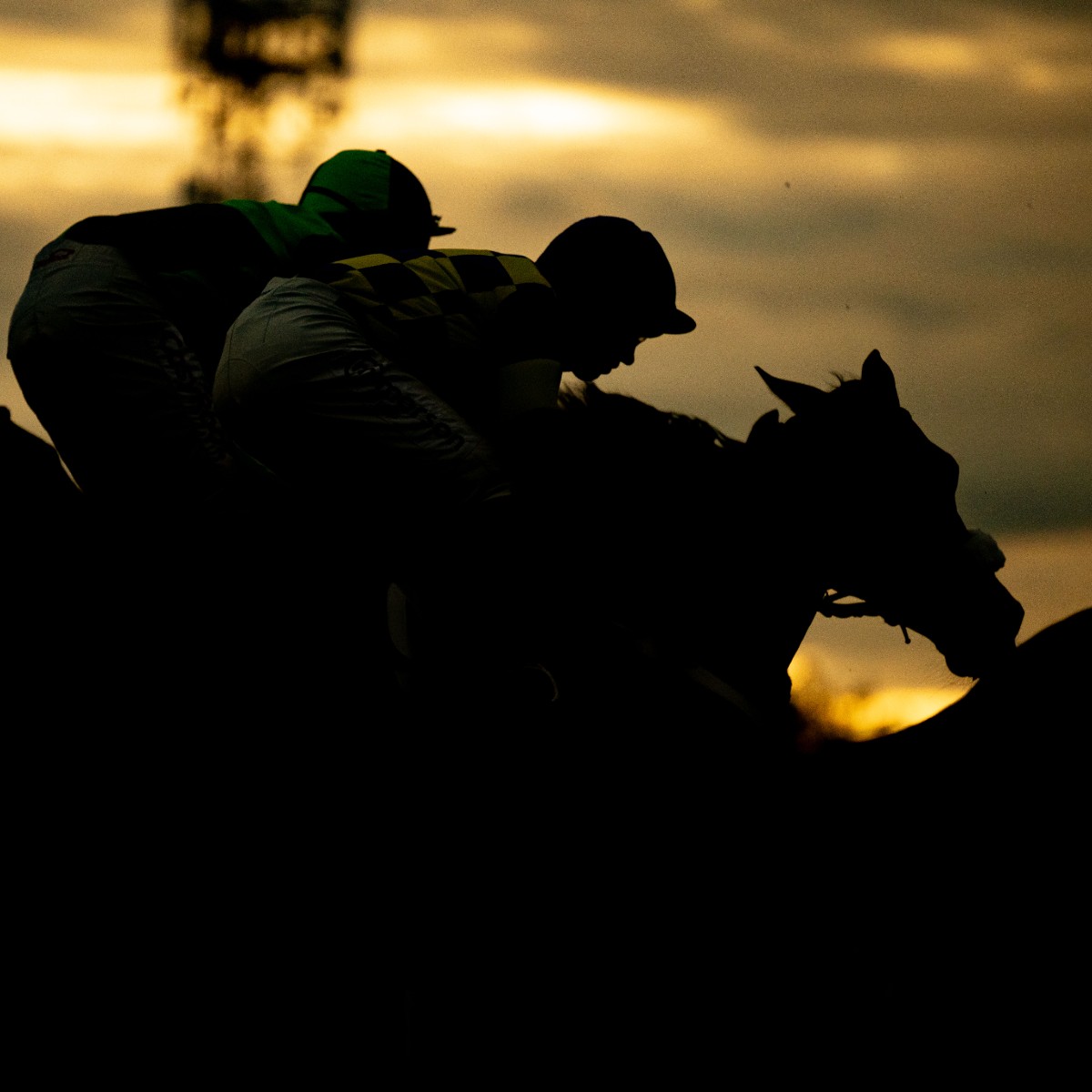 Fontwell Park tweet media