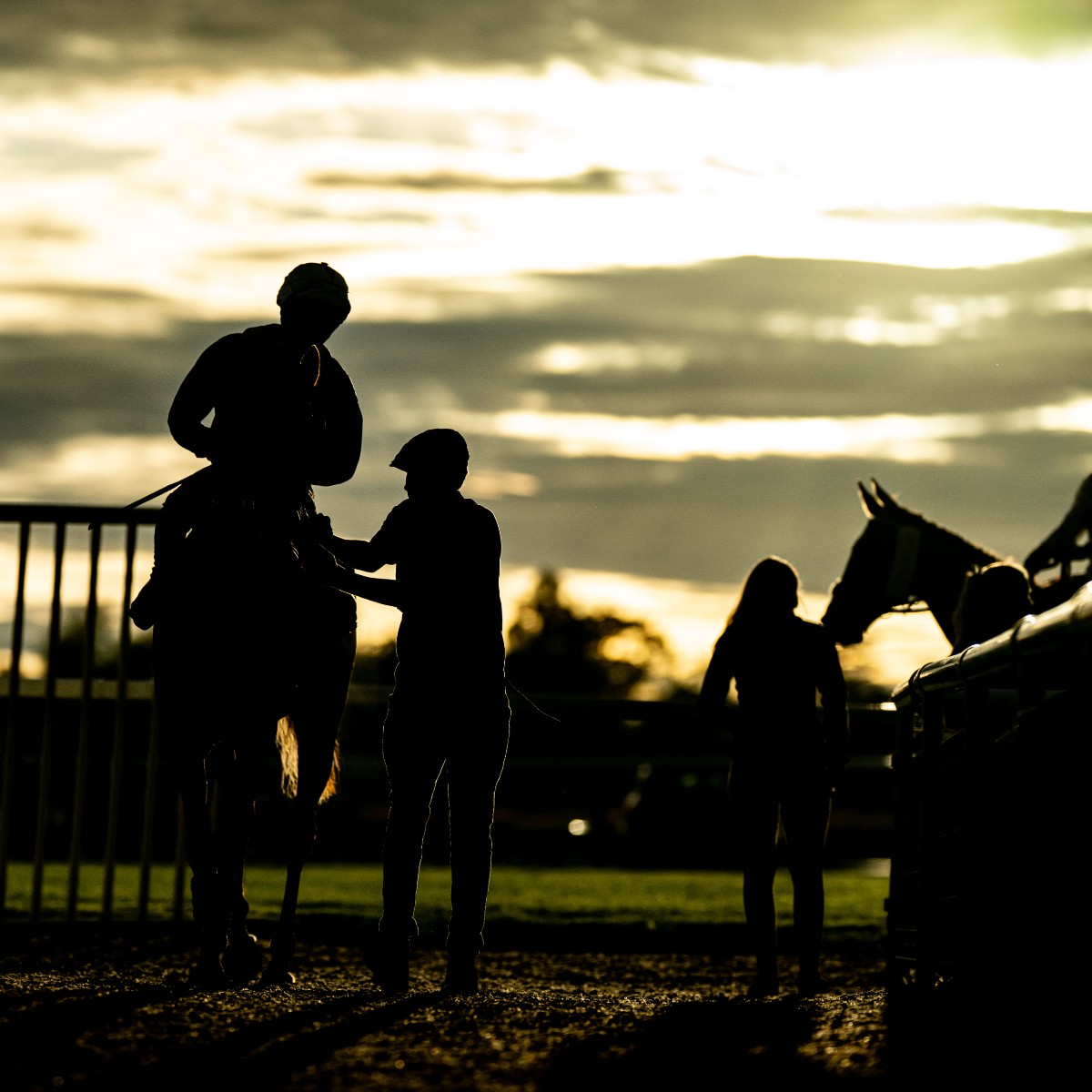 Evening racing has a certain charm to it😍🌆

📸 <a href="/dcoolimages/">Darren Cool Images</a>