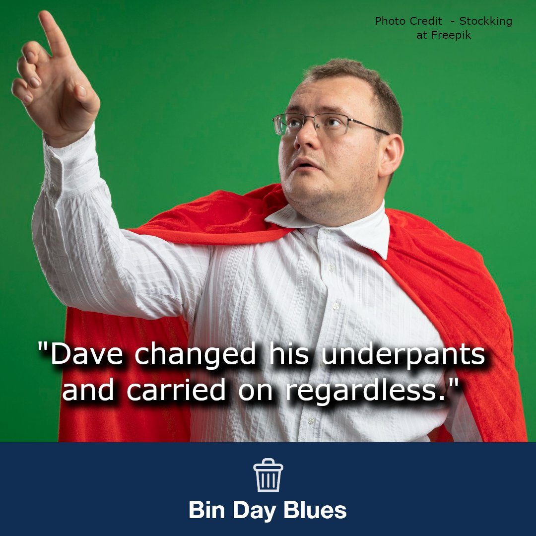 Bin Day Blues tweet media