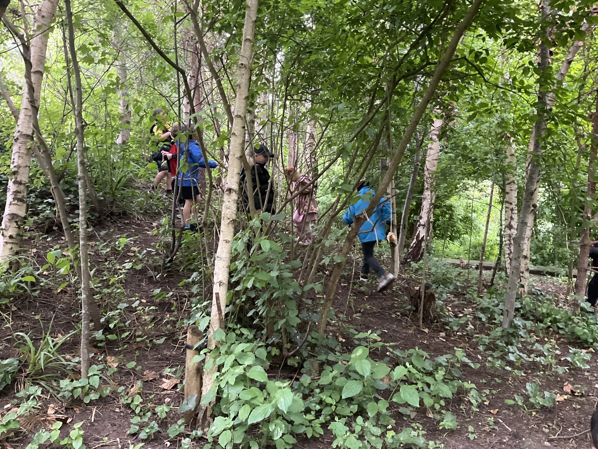 Year Three Phoenix Primary tweet media