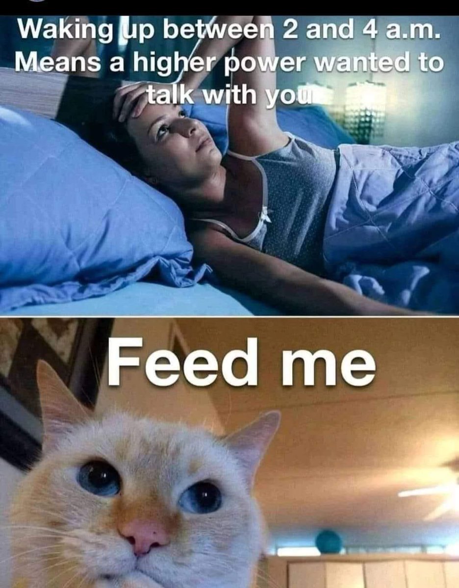 WholesomeMeme's tweet photo. https://t.co/4vS0un9ytB