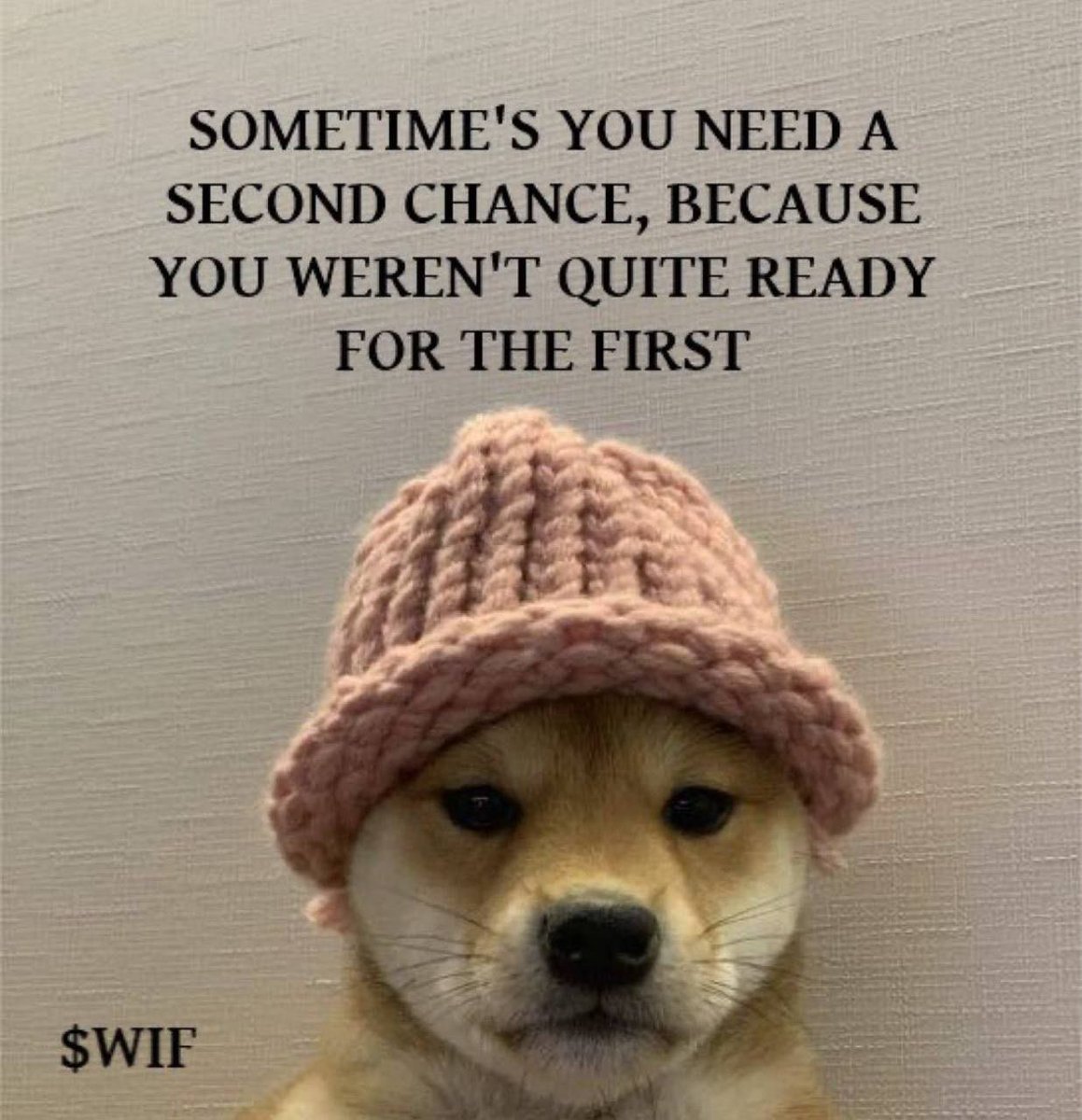 miltonHou01's tweet photo. @wallstreetbets Yes we are about to witness a #secondchance 

21AErpiB8uSb94oQKRcwuHqyHF93njAxBSbdUrpupump https://t.co/P4n62RXfbi