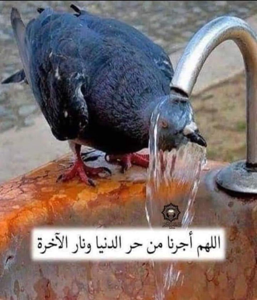 Fares400's tweet photo. https://t.co/8v58fACQIN