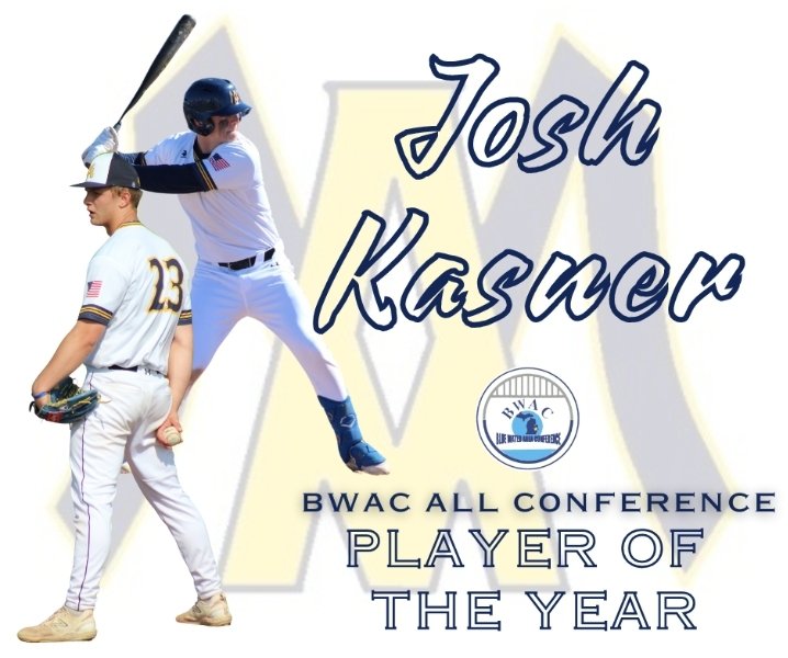 AlgonacBaseball's tweet photo. Congratulations to our BWAC All-Conference guys! https://t.co/1kKpfu1X9p