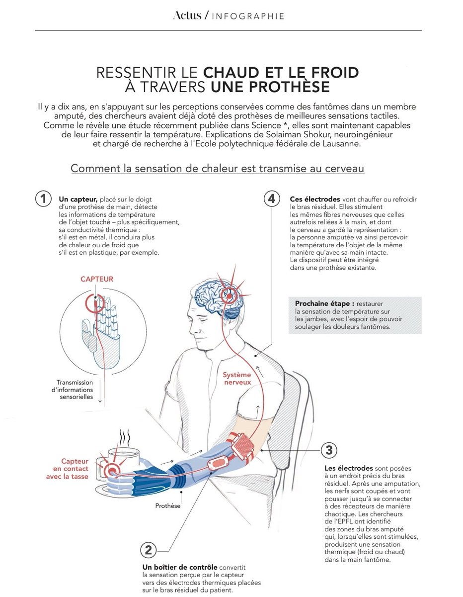 solaiman.shokur (@solaimanshokur) on Twitter photo Cool infographie explaining our work on thermally sentient #bionics limbs in <a href="/LeFigaro_Sante/">Le Figaro SantƩ</a> this week!
With <a href="/_smicera/">Silvestro Micera</a> <a href="/JonathanMuheim/">Muheim Jonathan</a> <a href="/yonderboy_/">Francesco Iberite</a> <a href="/Neuro_X_EPFL/">Neuro-X Institute</a> Cool infographie explaining our work on thermally sentient #bionics limbs in <a href="/LeFigaro_Sante/">Le Figaro SantƩ</a> this week!
With <a href="/_smicera/">Silvestro Micera</a> <a href="/JonathanMuheim/">Muheim Jonathan</a> <a href="/yonderboy_/">Francesco Iberite</a> <a href="/Neuro_X_EPFL/">Neuro-X Institute</a>