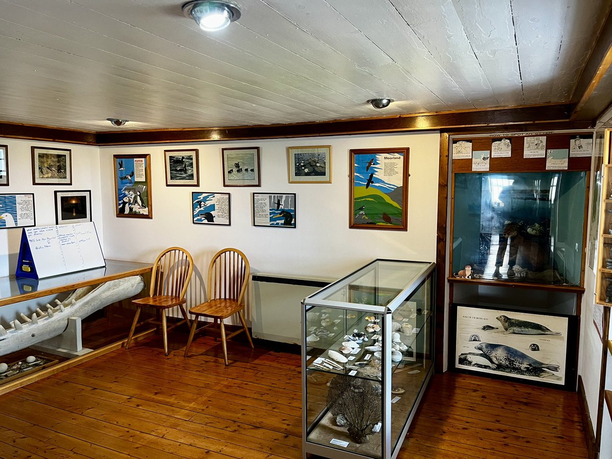 PlantLegacyScot's tweet photo. @sgsah engagement fund #Shetland day 3: fascinating meeting at #TheOldHaa in #Burravoe #Yell hearing about naturalist #BobbyTulloch and just enough time for #MuckleFlugga #Outstack and #Skawbeach #wildflowers bog cotton, ragged robin and more orchids https://t.co/BtdWDkWsnR