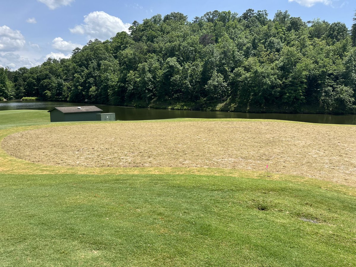 Sprigs going down today!