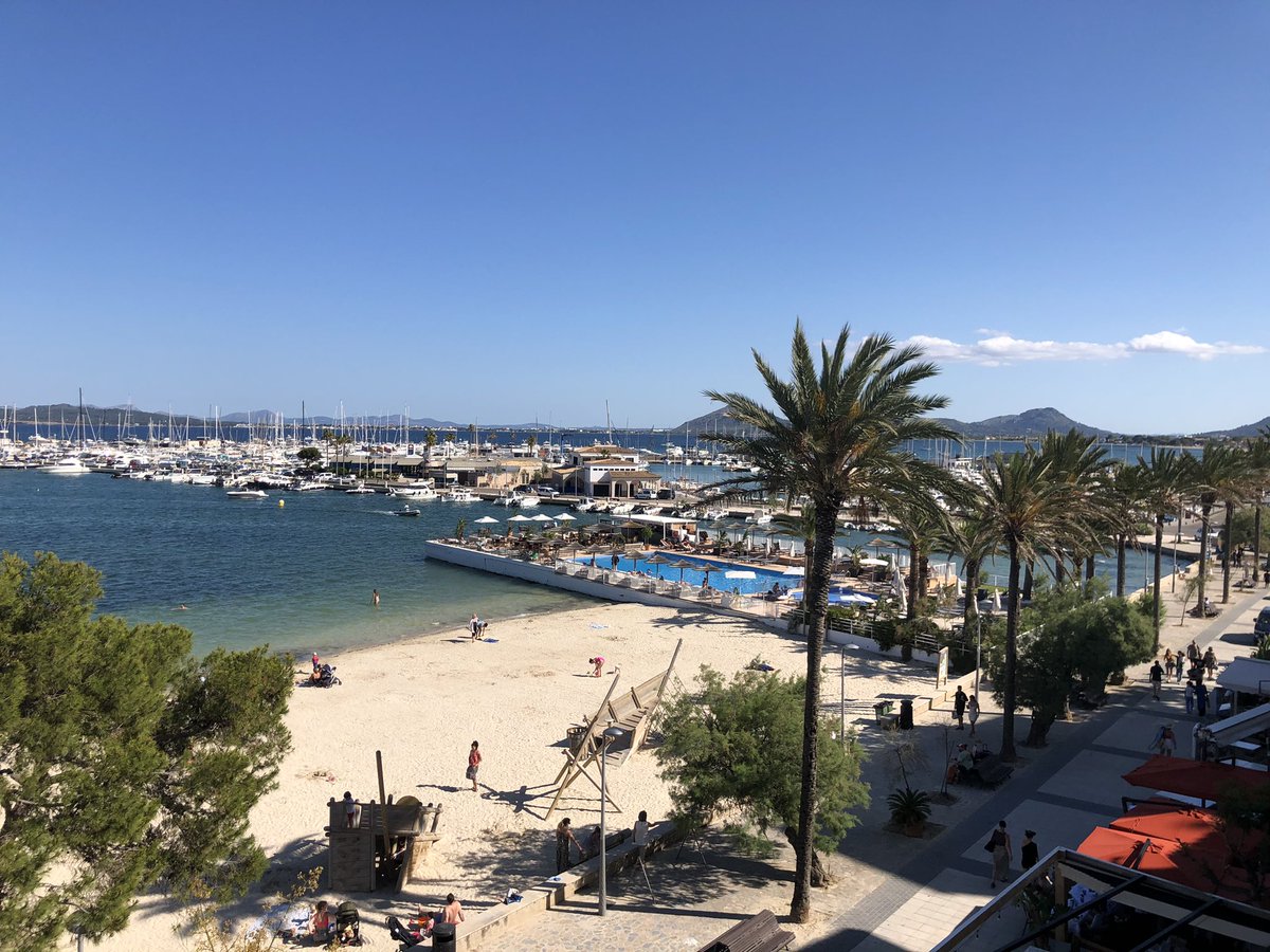 Rosie 🌸 tweet media