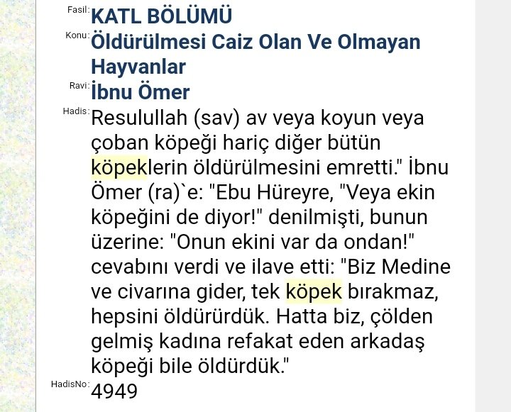 akale8282's tweet photo. @AtiyeDemir4 @M_Boynukalin Bu ne saçma şey, iti itlaf edince her olan olay it yüzünden oldu, demek, ruh hastalığıdır https://t.co/33KDNHbNEh