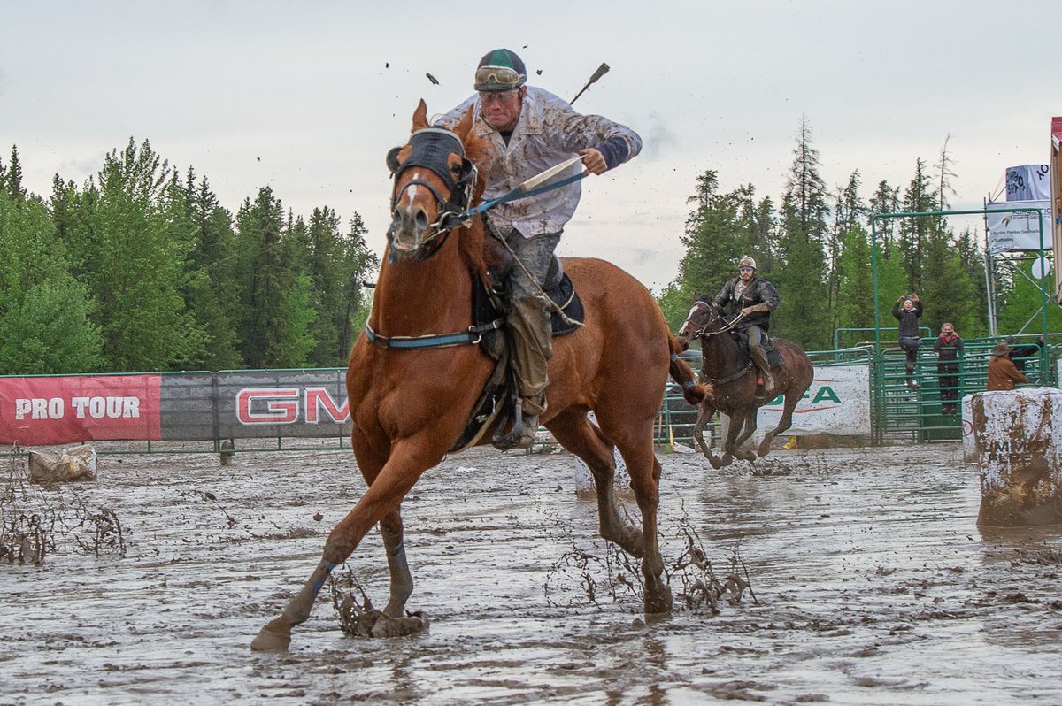 armstro28's tweet photo. Was fortunate to ride some fast and classy outriding horses during the Grande Prairie Stompede, also took out 4 new horses in there first races behind throwing stove that all worked great! 
Photo creds; 📸 Shellie Scott Photography https://t.co/vE6Lqzf3kt