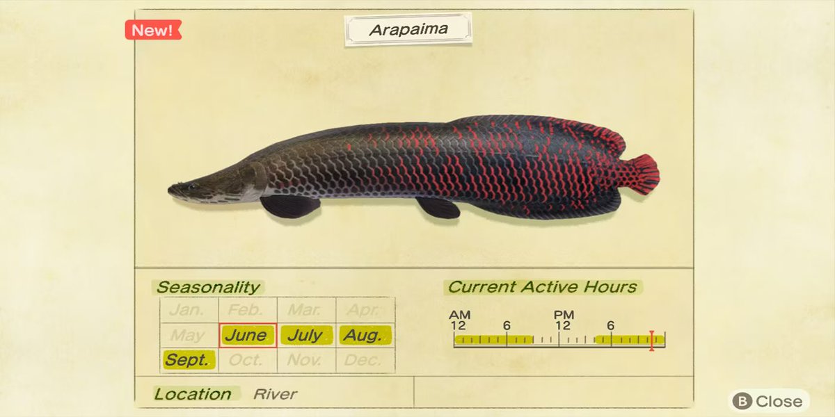 clown_dream's tweet photo. its pride month, you know what that means

🔥🔥 ARAPAIMA SEASON !!!!! 🔥🔥 https://t.co/xs6tm5iWBu