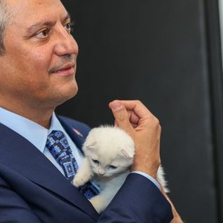 CHP'de Şero'nun bir arkadaşı oldu.

Özgür Özel, genel merkezde kalacak kediye "Zafer" adını verdiklerini açıkladı.