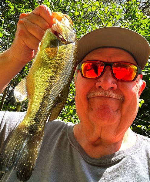 BassFishnTips's tweet photo. Made 3 quick stops over the lunch break catching over a dozen rock bass on ultralight &amp; breaking off a nice smallie as I went to land it at Stop #1; then 3 little largies on a stickbait @ Stop #2 and a jumbo pencil pickerel @#3. Nothing huge but always a good when avoiding the 🦨 https://t.co/8nzodVlKvB