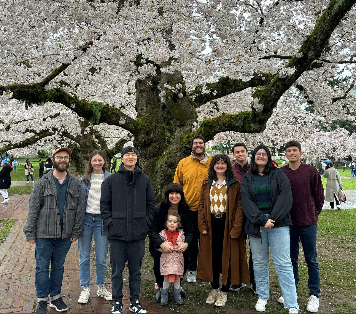 Alexandra Velian tweet media