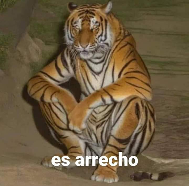 pecaswtff's tweet photo. Tengo miedo d lo que vaya a pasar de hoy en adelante https://t.co/qnHWW7eSBh