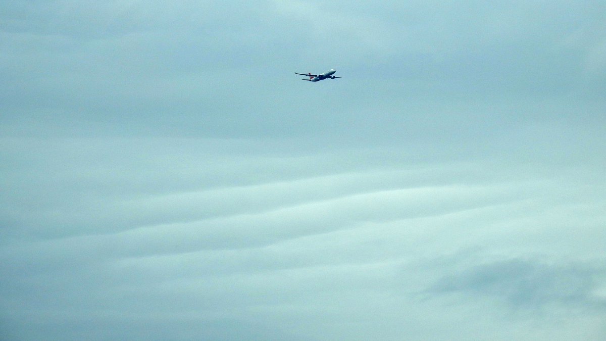 mildthing99's tweet photo. *Ripples* of applause for the display of #StratusUndulatus (underrated) #StratocumulusUndulatus and closely related #Asperitas along a weakening cold front #frontolysis
@CloudAppSoc @StormHour @metoffice @ThePhotoHour @PeterGWeather #StormHour #loveukweather https://t.co/VG0REclxkn