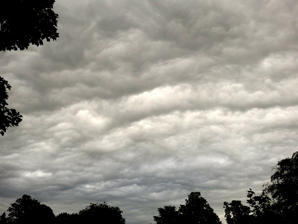 mildthing99's tweet photo. *Ripples* of applause for the display of #StratusUndulatus (underrated) #StratocumulusUndulatus and closely related #Asperitas along a weakening cold front #frontolysis
@CloudAppSoc @StormHour @metoffice @ThePhotoHour @PeterGWeather #StormHour #loveukweather https://t.co/VG0REclxkn