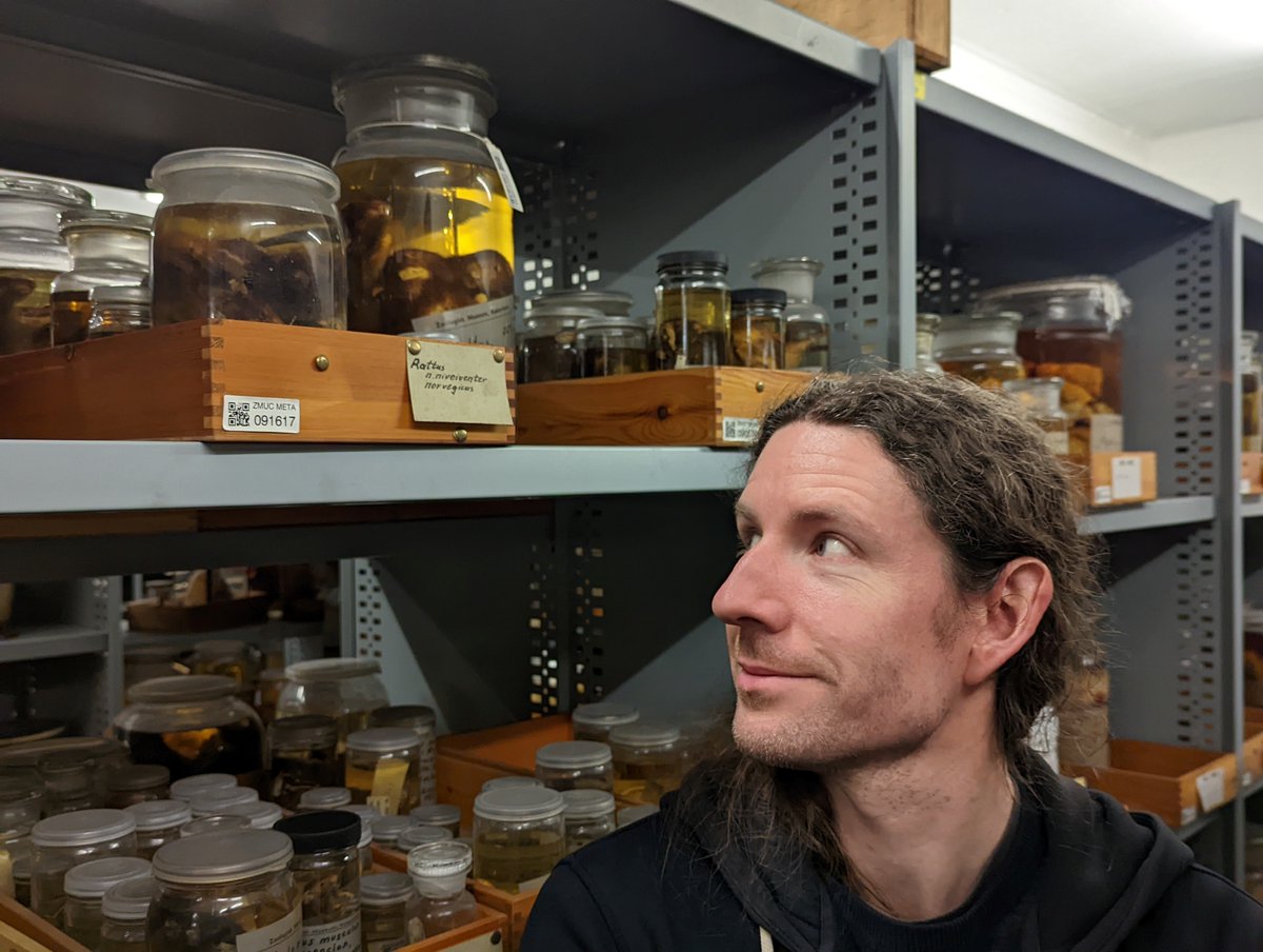 NErbSatullo's tweet photo. Virtual Talk in the Cranfield Seminar Series in Archaeological Science:

Thursday, June 6th at 3 pm (UK time)

Rats and the Archaeology of Trade, Urbanism, and Disease in Historic Europe 

David Orton, University of York

Register here for Zoom link: https://t.co/INRTKqt1rE https://t.co/lzpFx2oDHs