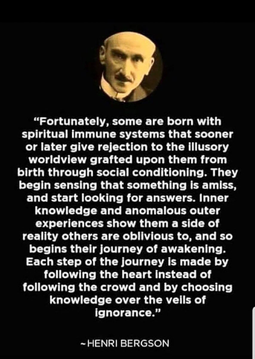 Rob Wilson tweet media